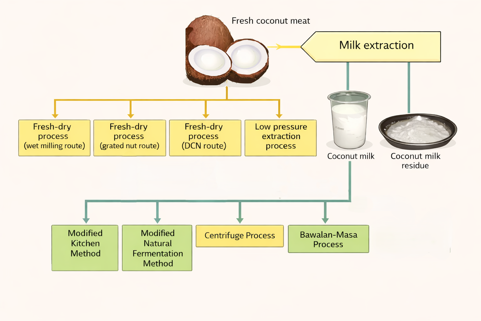 Virgin coconut oil production process flow